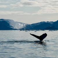 QGreenland